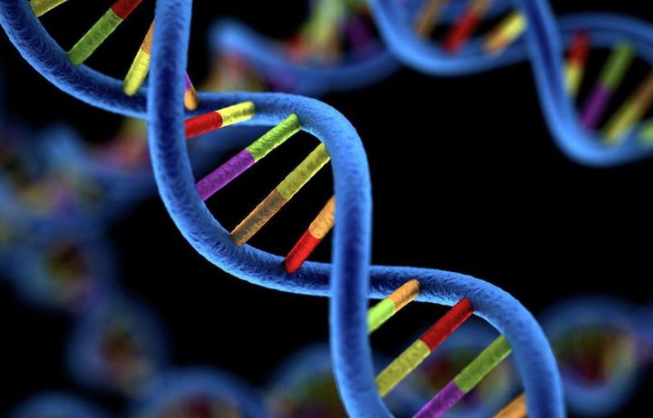 Genomics