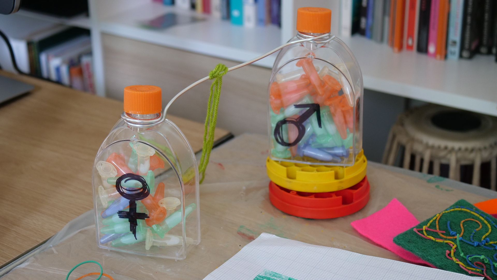 Two transparent plastic laboratory flasks with the female or male sign drawn.